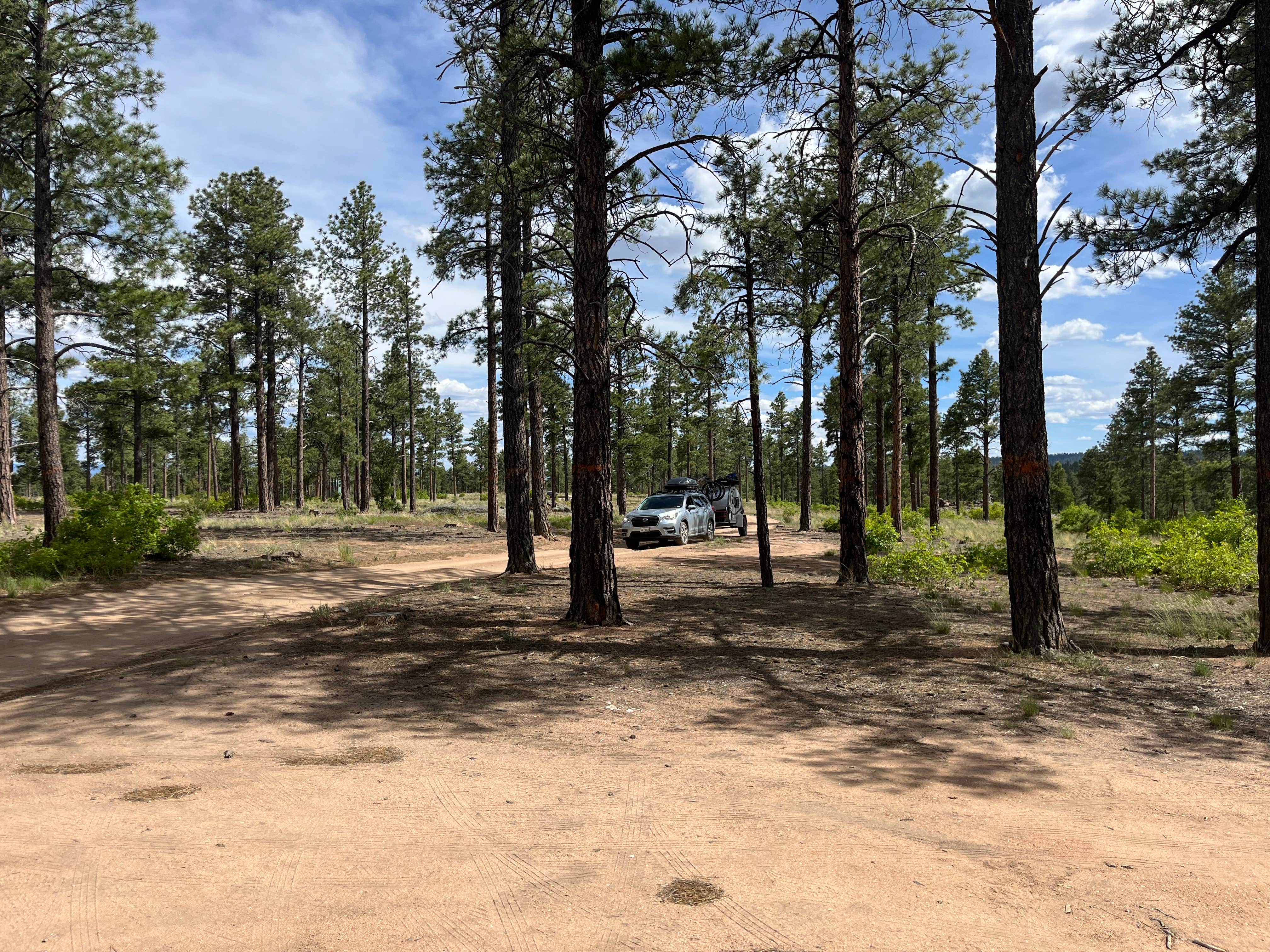 Camper-submitted photo at Tres Piedras Camp near Carson National Forest
