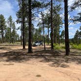 Review photo of Tres Piedras Camp by Wild Berries B., June 5, 2024