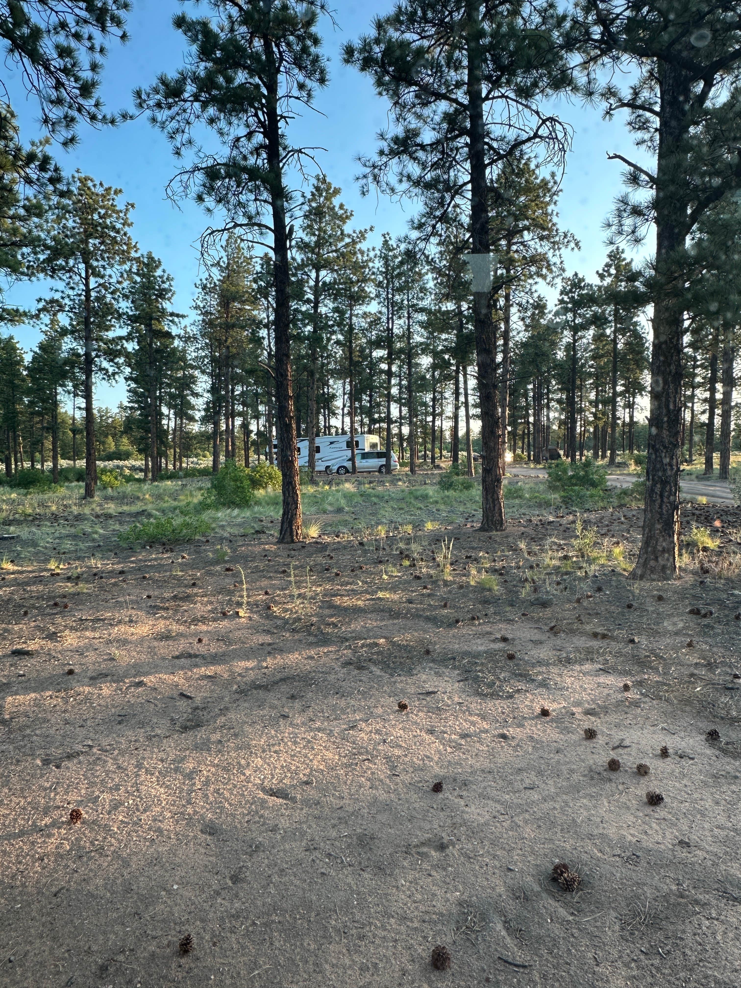 Camper-submitted photo at Tres Piedras Camp near Carson National Forest