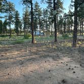 Review photo of Tres Piedras Camp by Leslie S., June 30, 2025