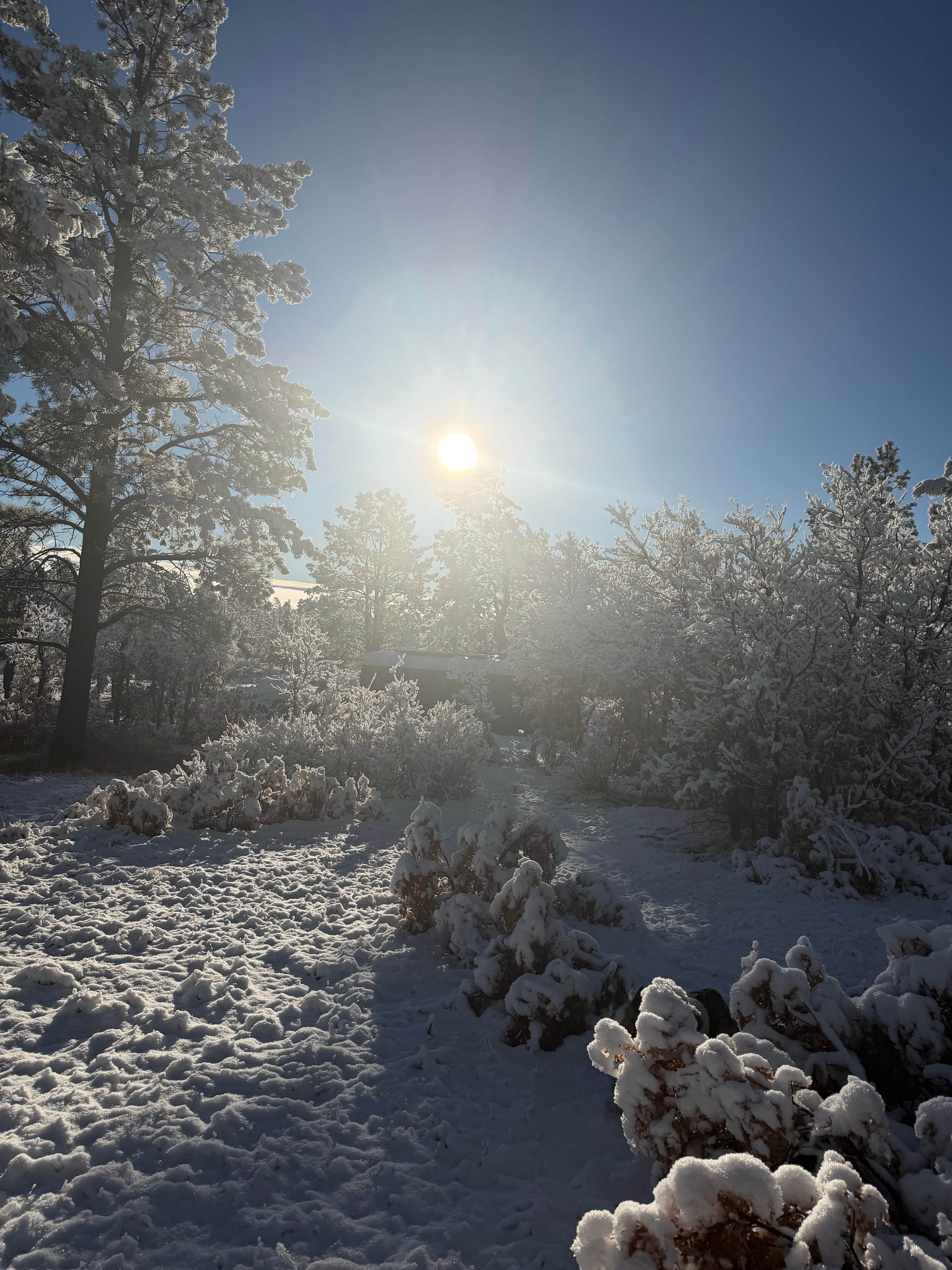 Camping near Middle Canjilon Campground: Tres Piedras on Forest Road 64G, Carson National Forest, New Mexico