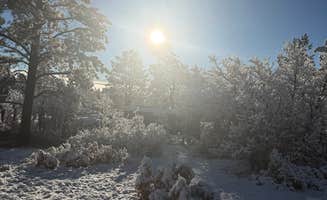 Edward R.'s photo of a dispersed camping area at Tres Piedras on Forest Road 64G near Los Ojos, NM
