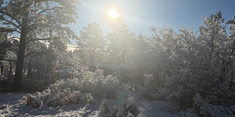 Camper submitted image from Tres Piedras on Forest Road 64G