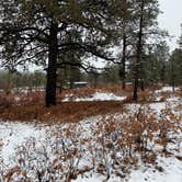 Review photo of Tres Piedras on Forest Road 64G by Edward R., November 22, 2025