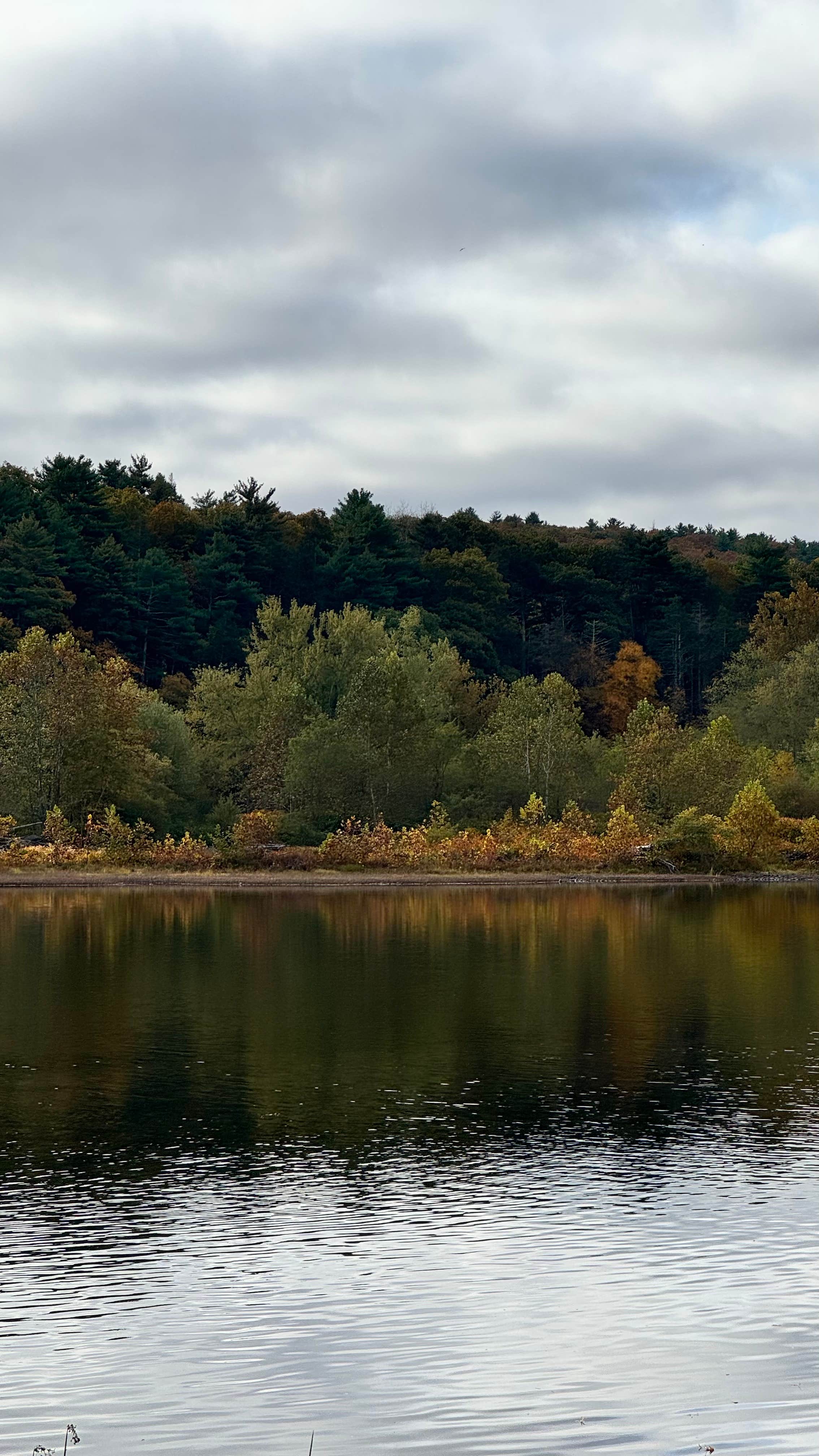 Camper-submitted photo at Tri-State RV Park near Glenham, NY