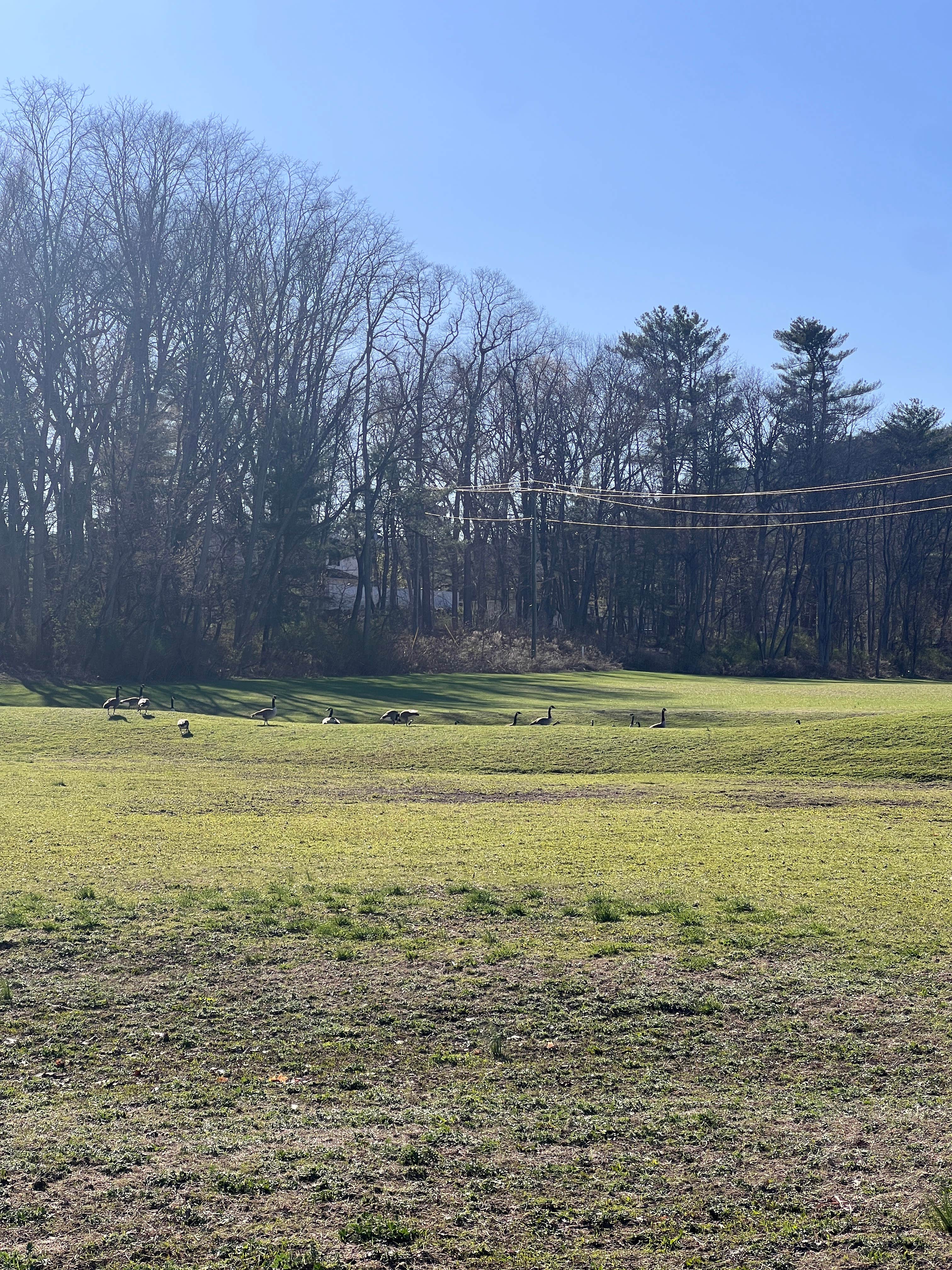 Camper-submitted photo at Tri-State RV Park near Glenham, NY