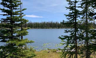 Tiffany P.'s photo of a dispersed camping area at Trial Lake Road Dispersed Camping near Tabiona, UT