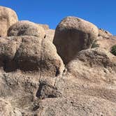 Review photo of Triangle T Guest Ranch by Pamela B., April 9, 2026
