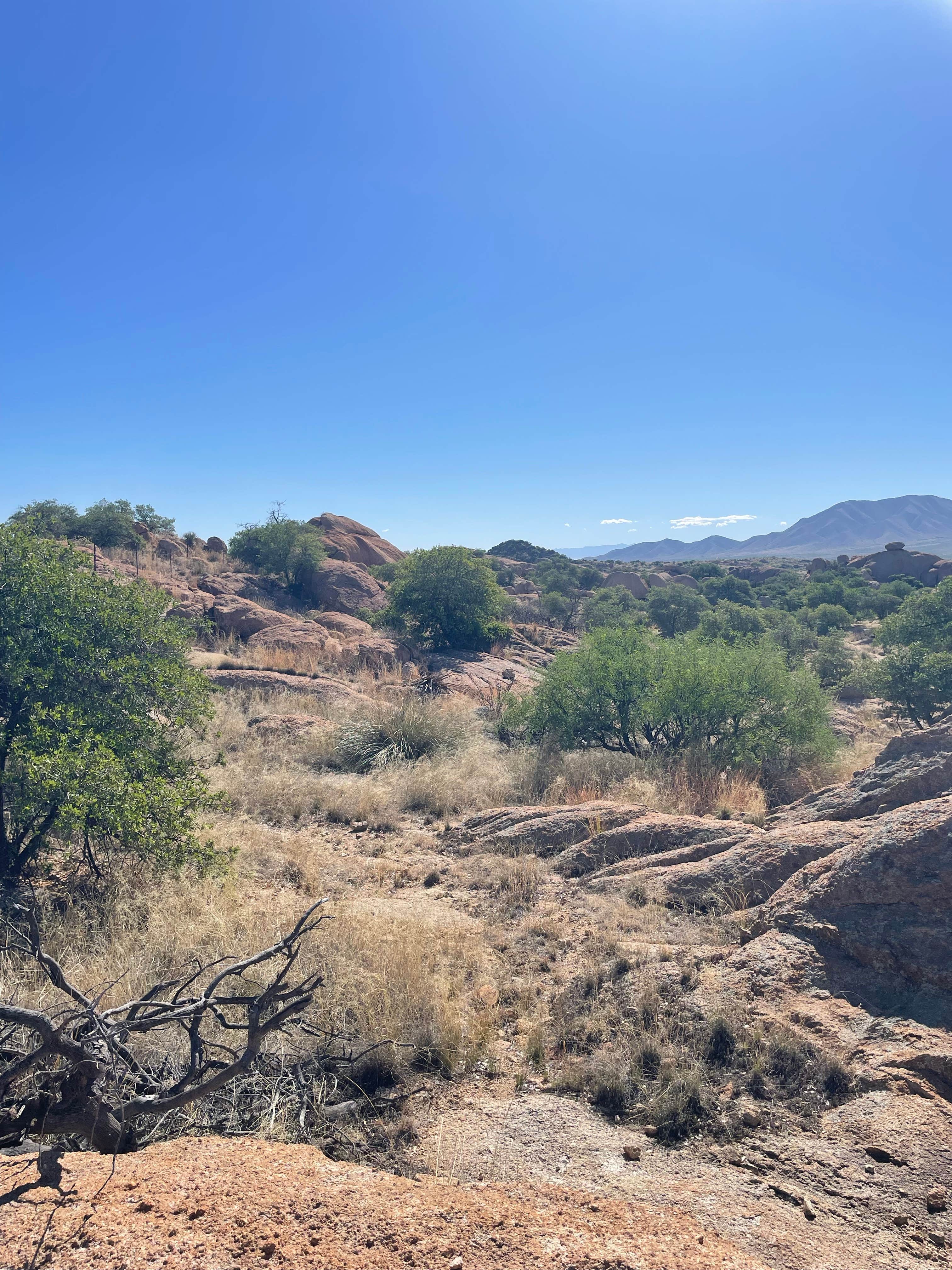 Camper-submitted photo at Triangle T Guest Ranch near Tucson, AZ