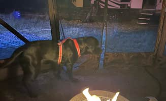 Kevin L.'s photo of camping with pets at Trillium Lake Airstrip Dispersed near Mt. Hood National Forest