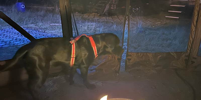 Camper submitted image from Trillium Lake Airstrip Dispersed