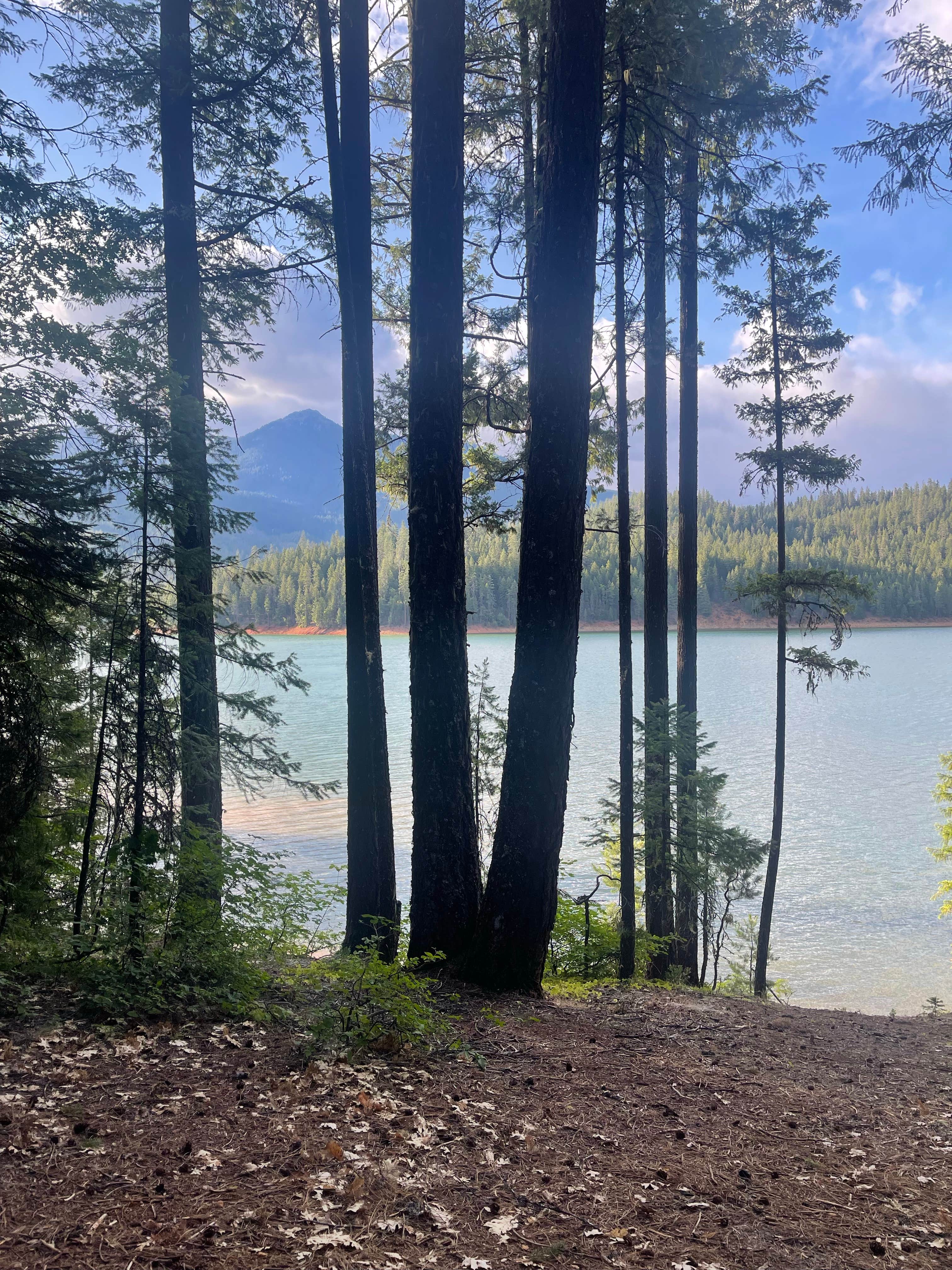 Camper-submitted photo at Tannery Gulch Campground near Trinity Center, CA