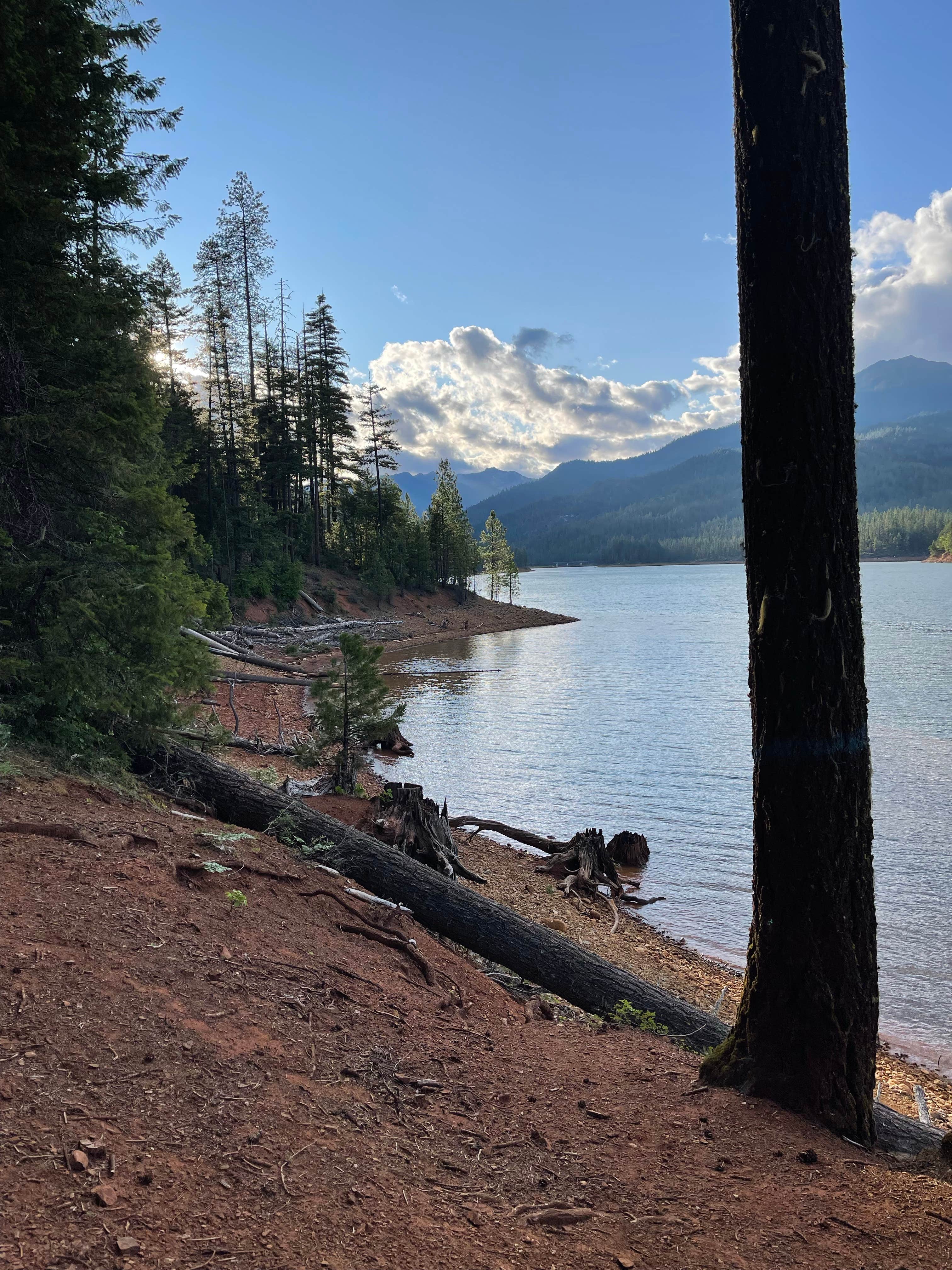 Camper-submitted photo at Tannery Gulch Campground near Trinity Center, CA