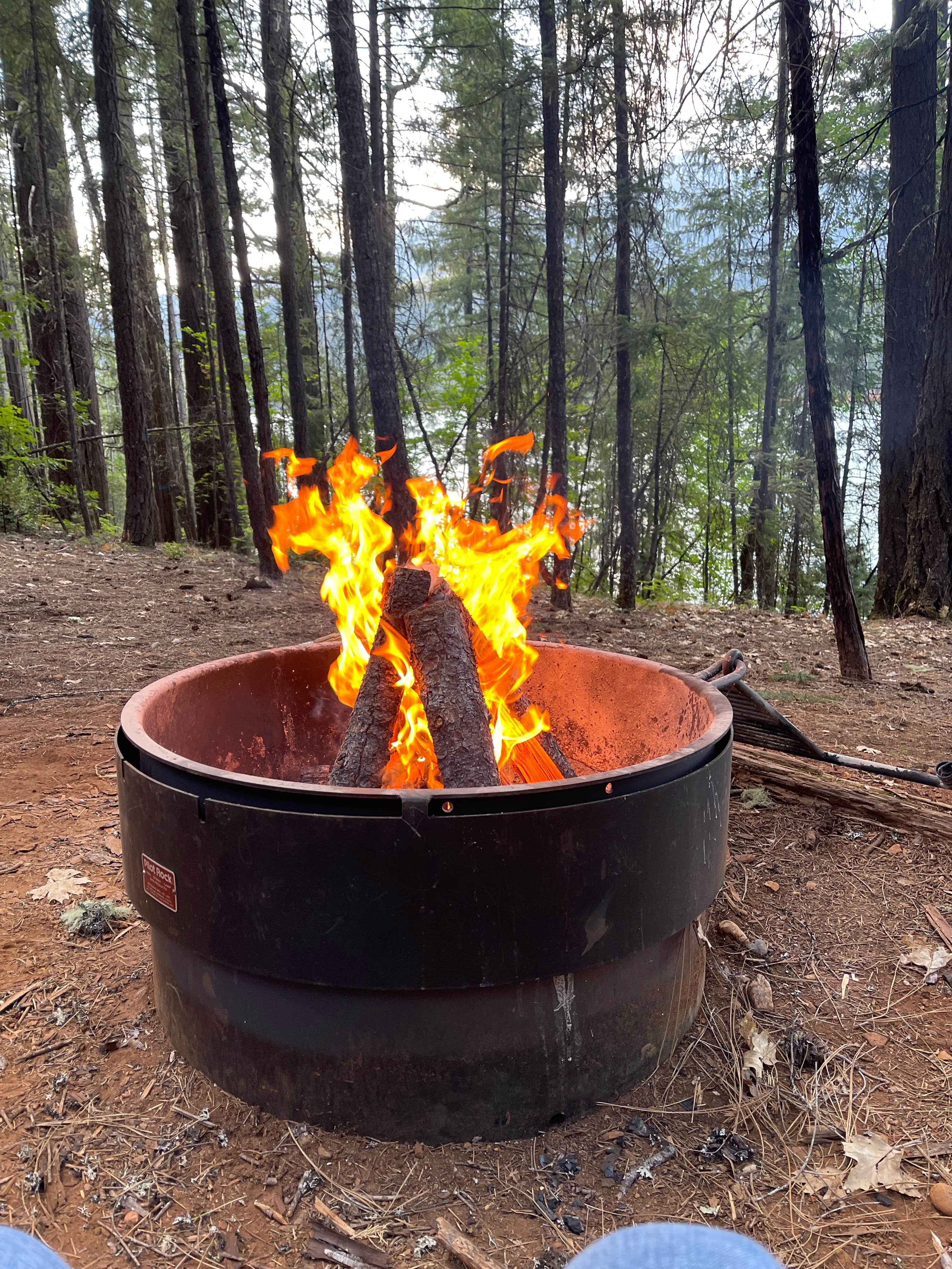 Camping near Alpine View Campground: Tannery Gulch Campground, Weaverville, California