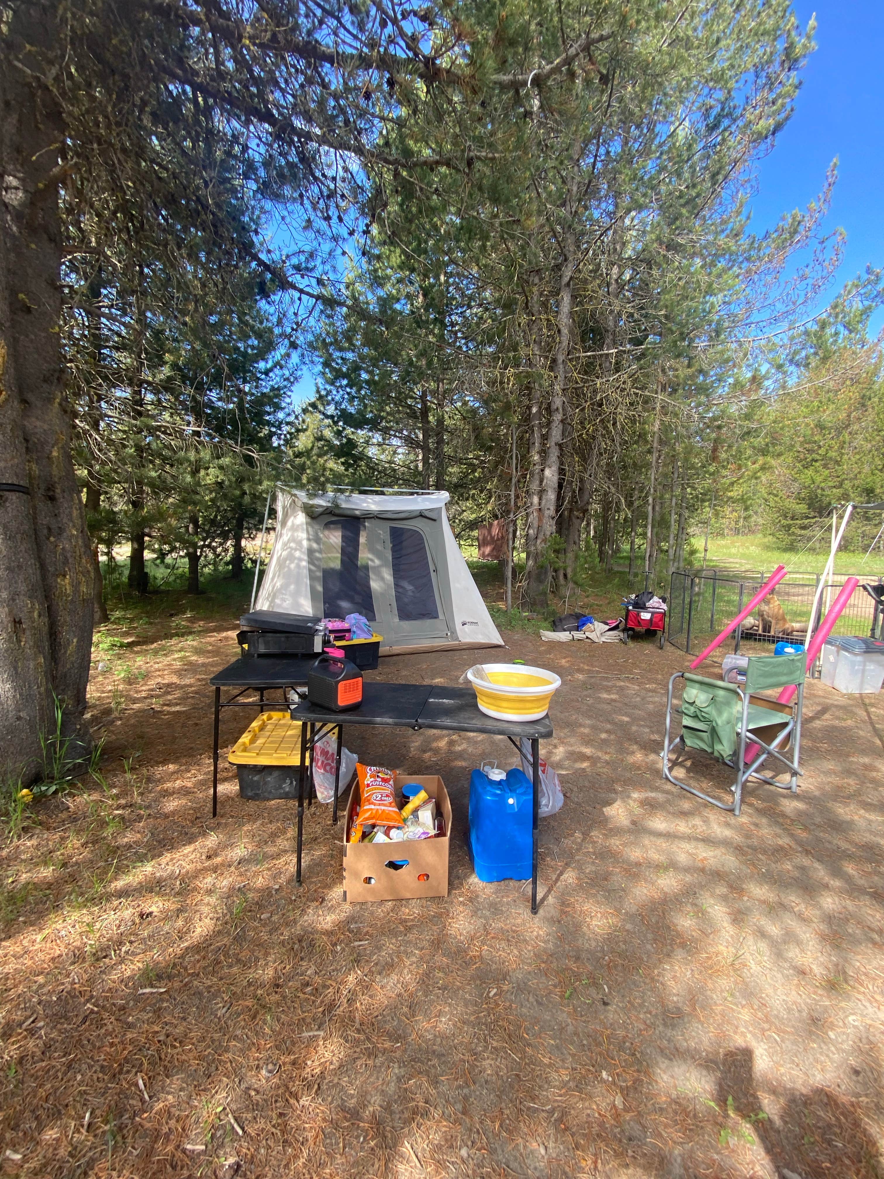 Camper-submitted photo at Tripod Dispersed camping g near Banks, ID