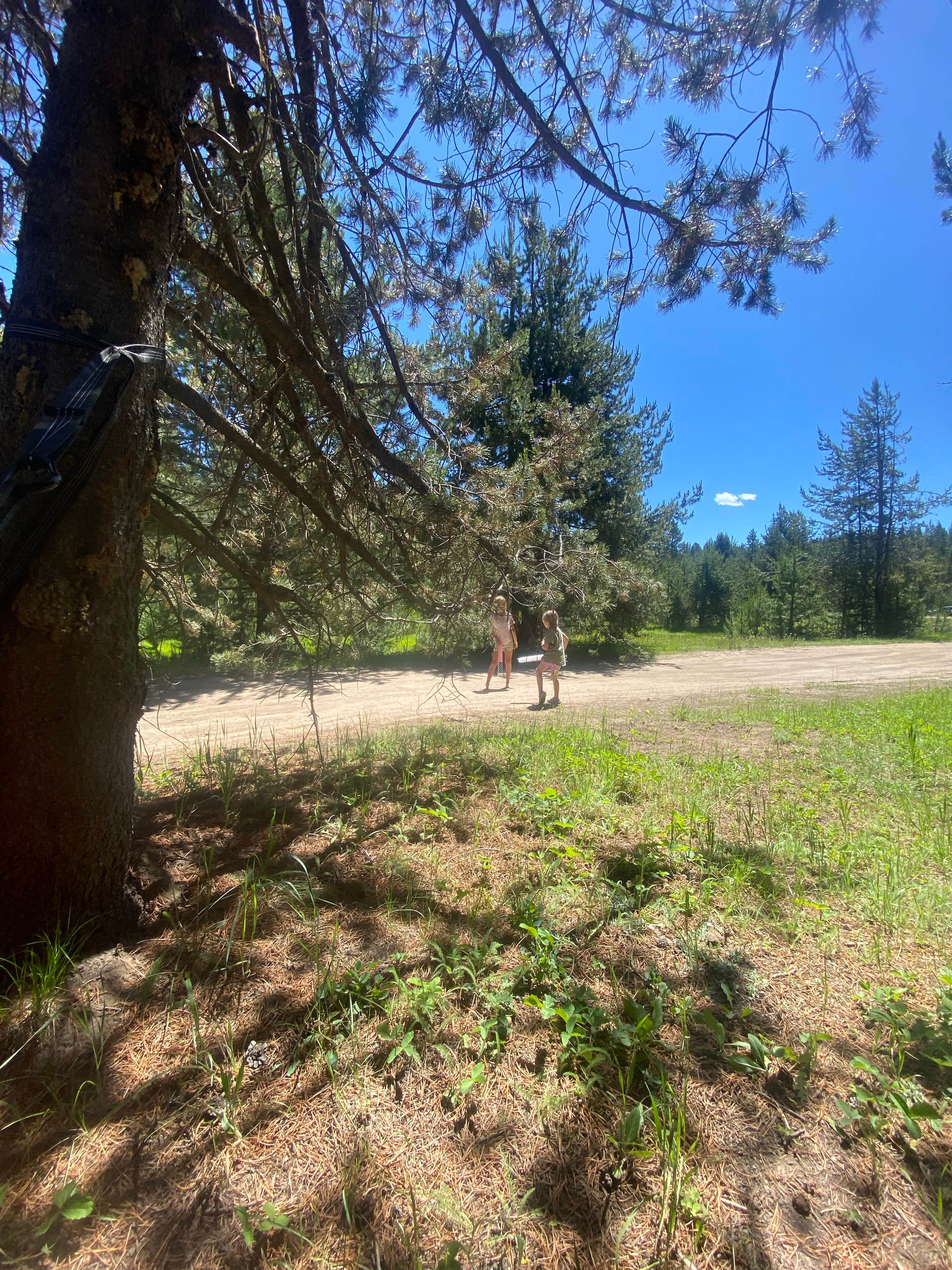 Camper submitted image from Tripod Dispersed camping g - 3