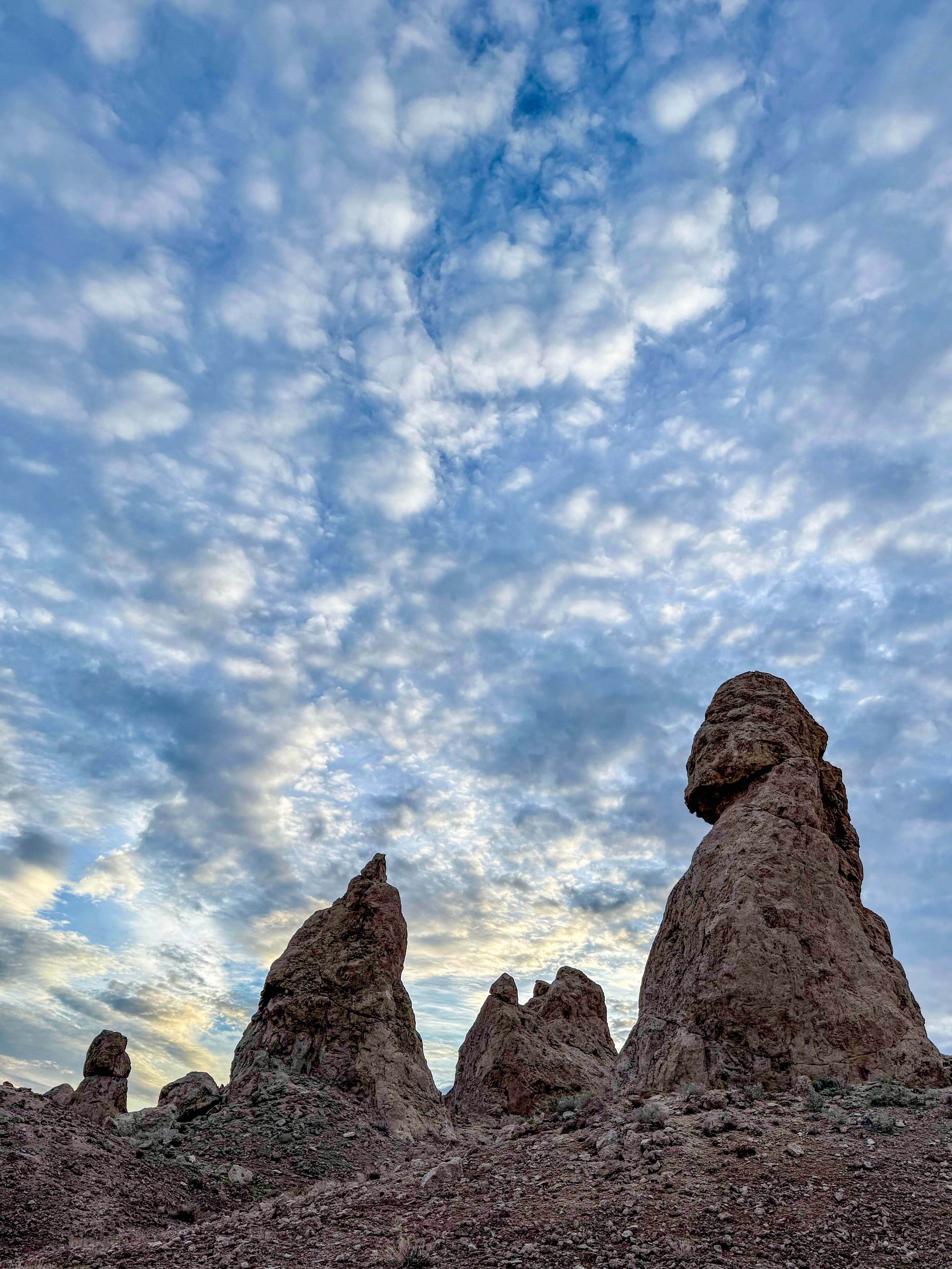 Camper submitted image from Trona Pinnacles Camp - 2