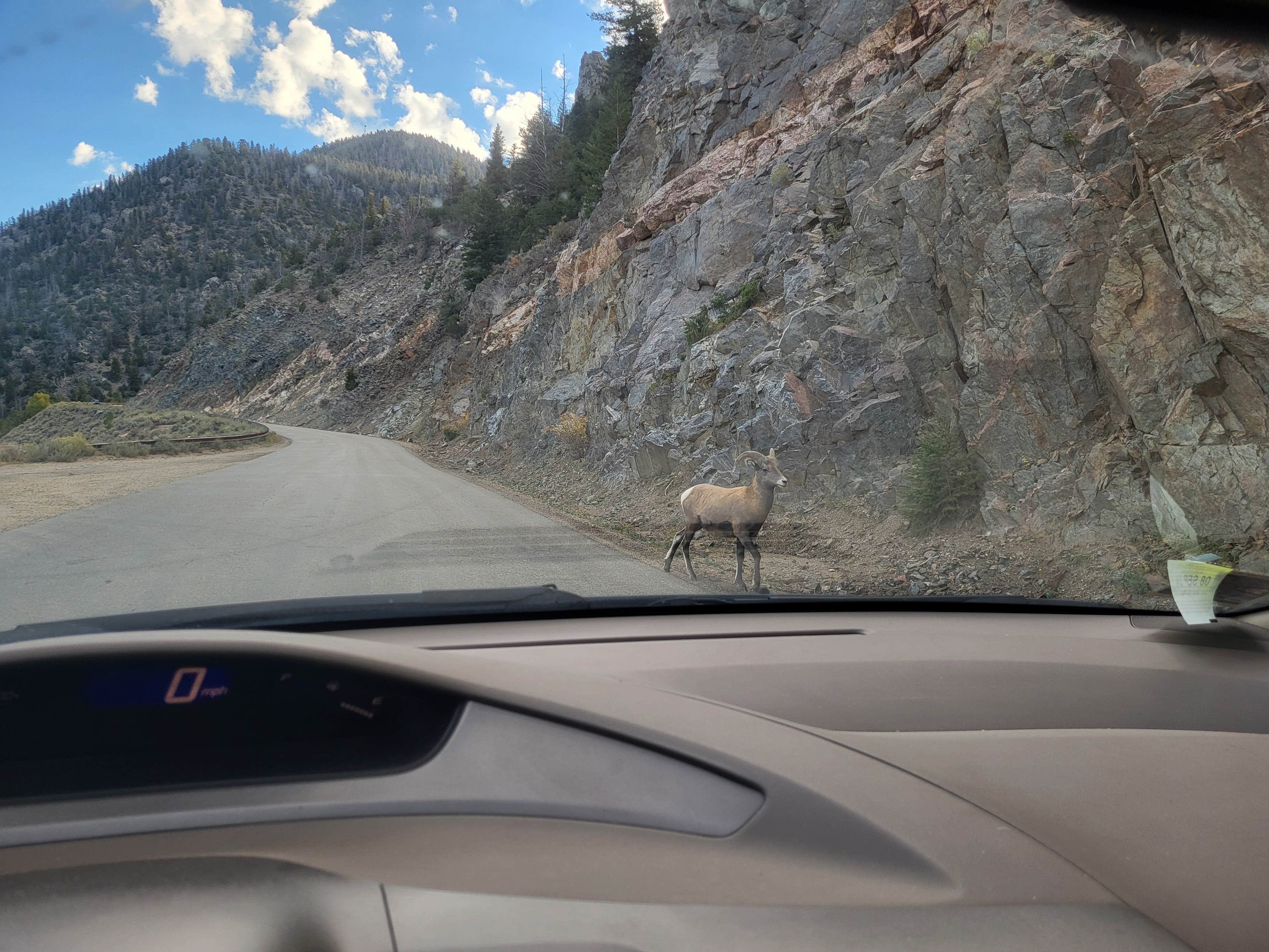 Camper-submitted photo at Trough Road Dispersed near Bond, CO