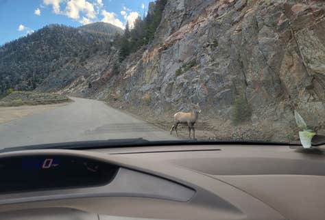 Trough Rd Trough Road Dispersed Camping | Bond, Colorado