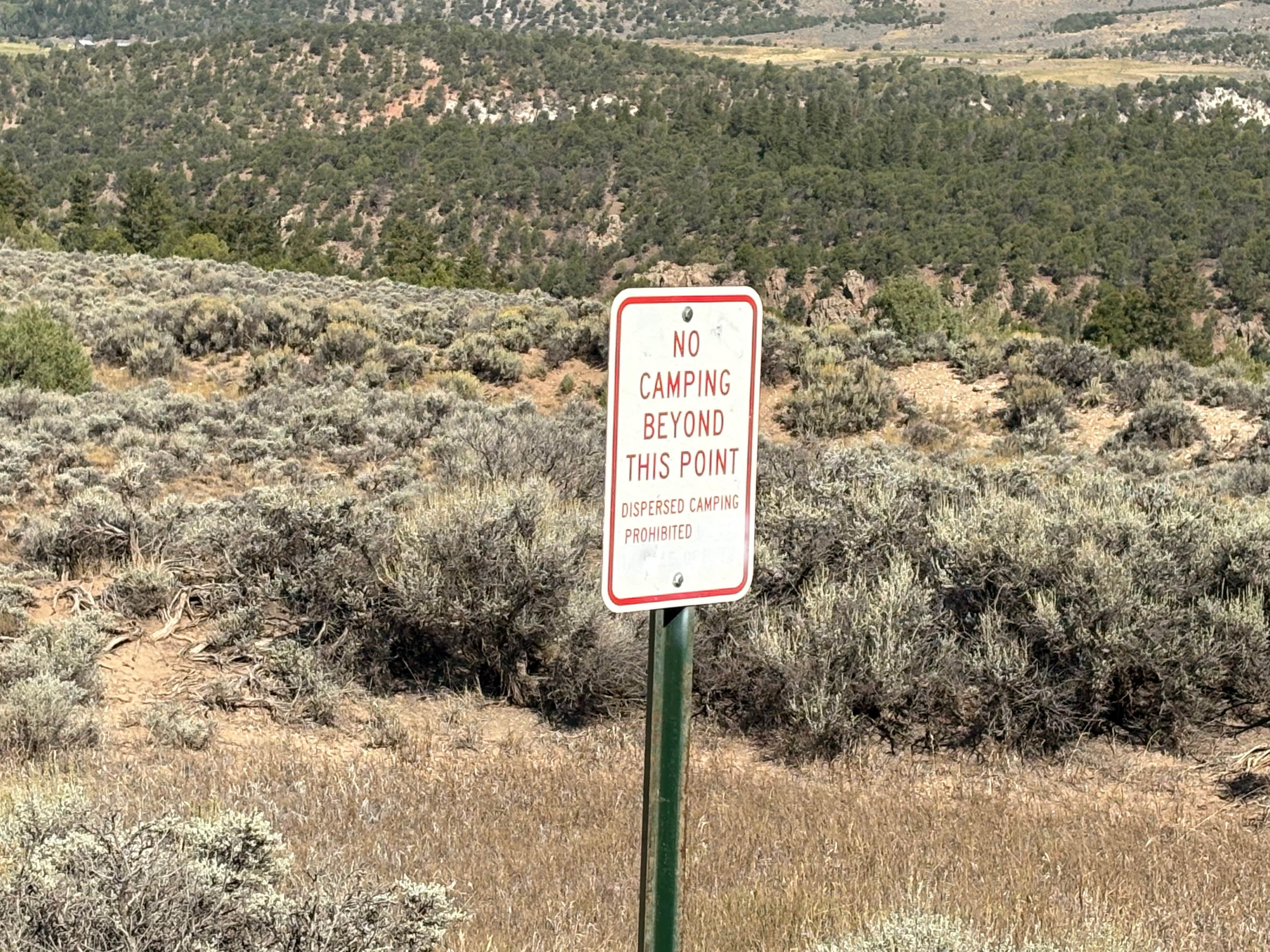 Camper-submitted photo at Trough Road Dispersed near Bond, CO