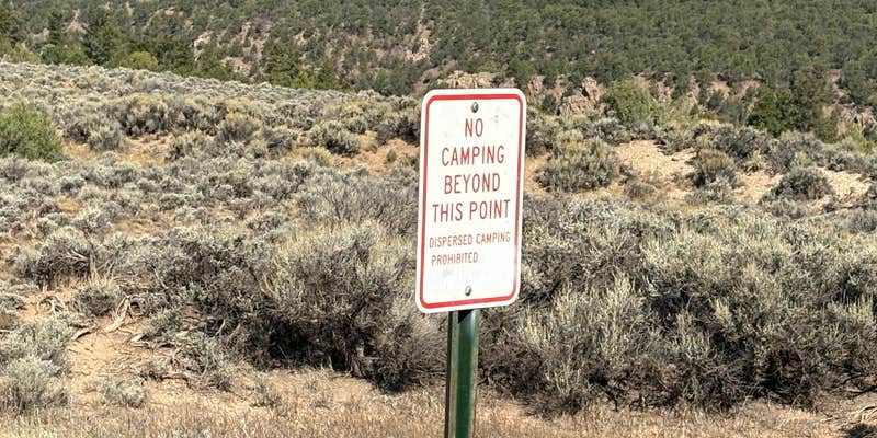 Camper submitted image from Trough Road Dispersed