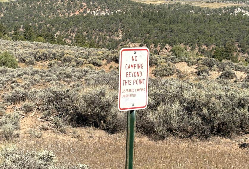 Trough Rd Trough Road Dispersed Camping | Bond, Colorado