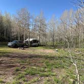 Review photo of Trout Creek at Strawberry by Zac , May 24, 2025