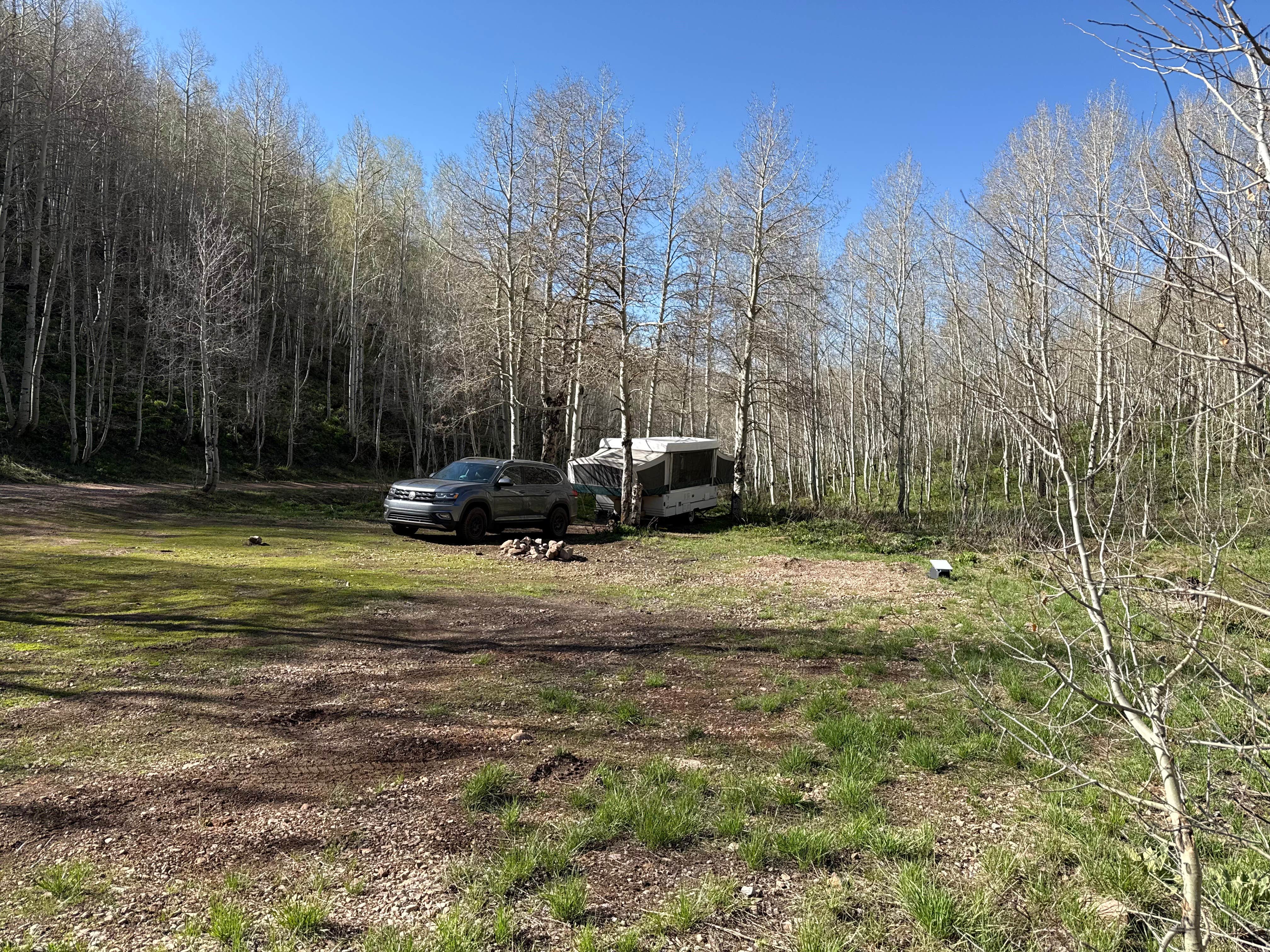 Camper submitted image from Trout Creek at Strawberry - 1