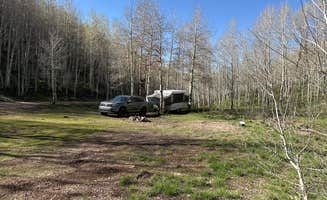 Zac's photo at Trout Creek at Strawberry near Tabiona, UT