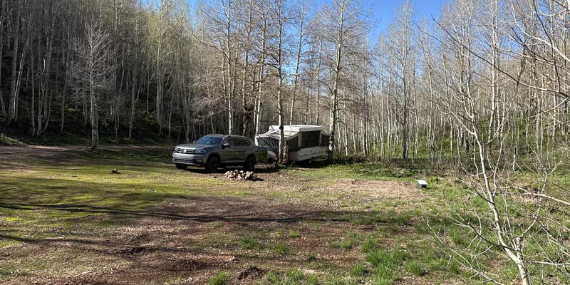 Camper submitted image from Trout Creek at Strawberry