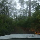 Review photo of Trout Lake Primitive Sites by Laurence A., October 16, 2025