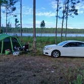 Review photo of Trout Lake Primitive Sites by Laurence A., October 16, 2025