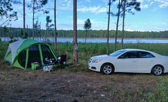Laurence A.'s photo of tent camping at Trout Lake Primitive Sites near Sorrento, FL