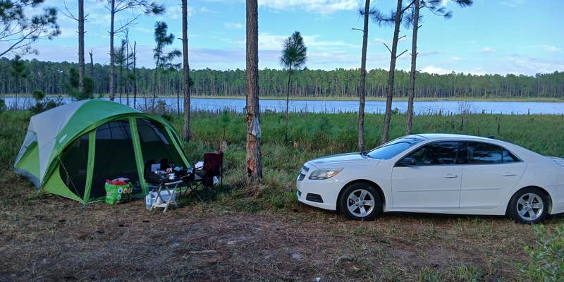 Camper submitted image from Trout Lake Primitive Sites