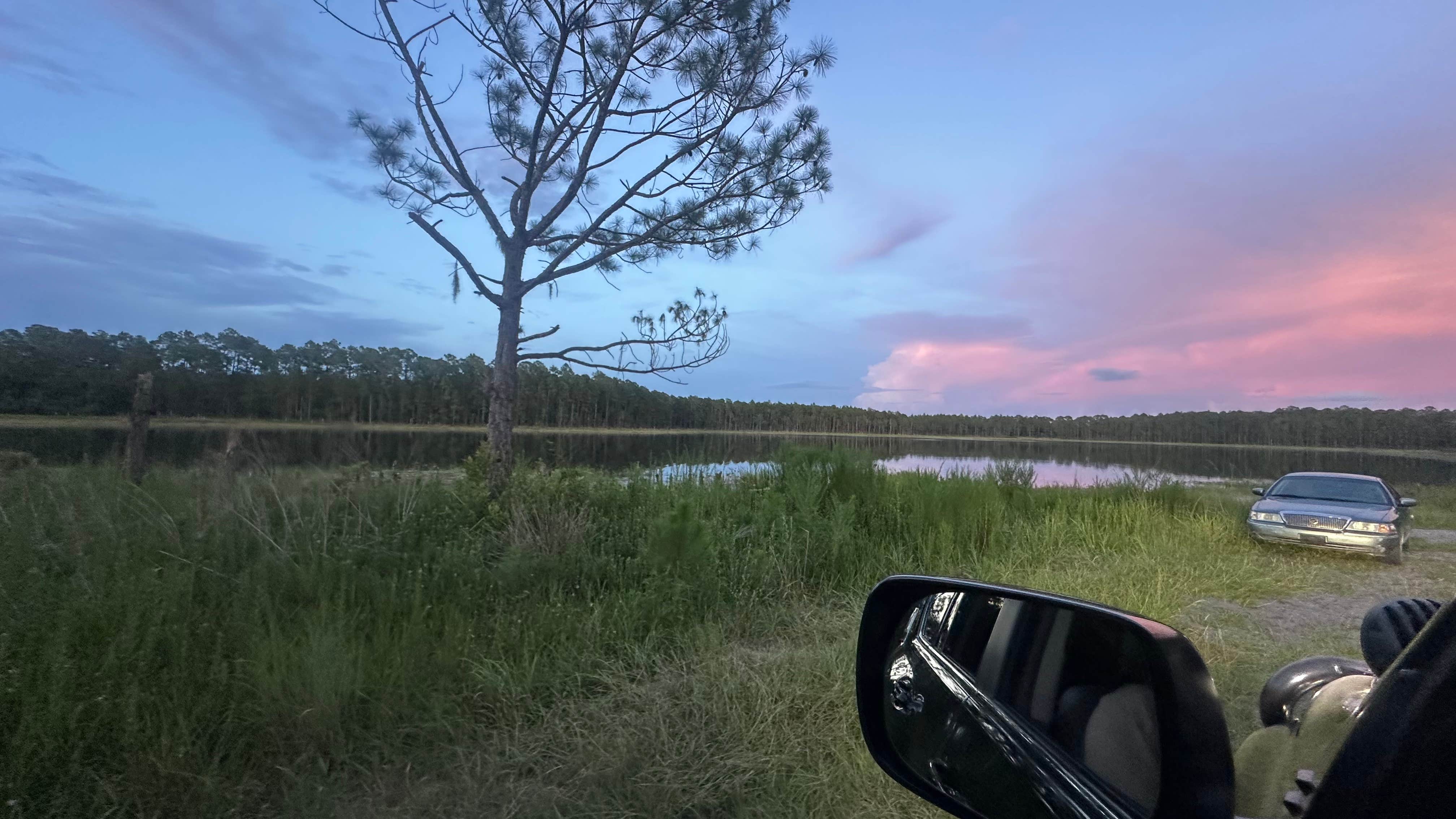 Camper-submitted photo at Trout Lake Primitive Sites near DeLand, FL