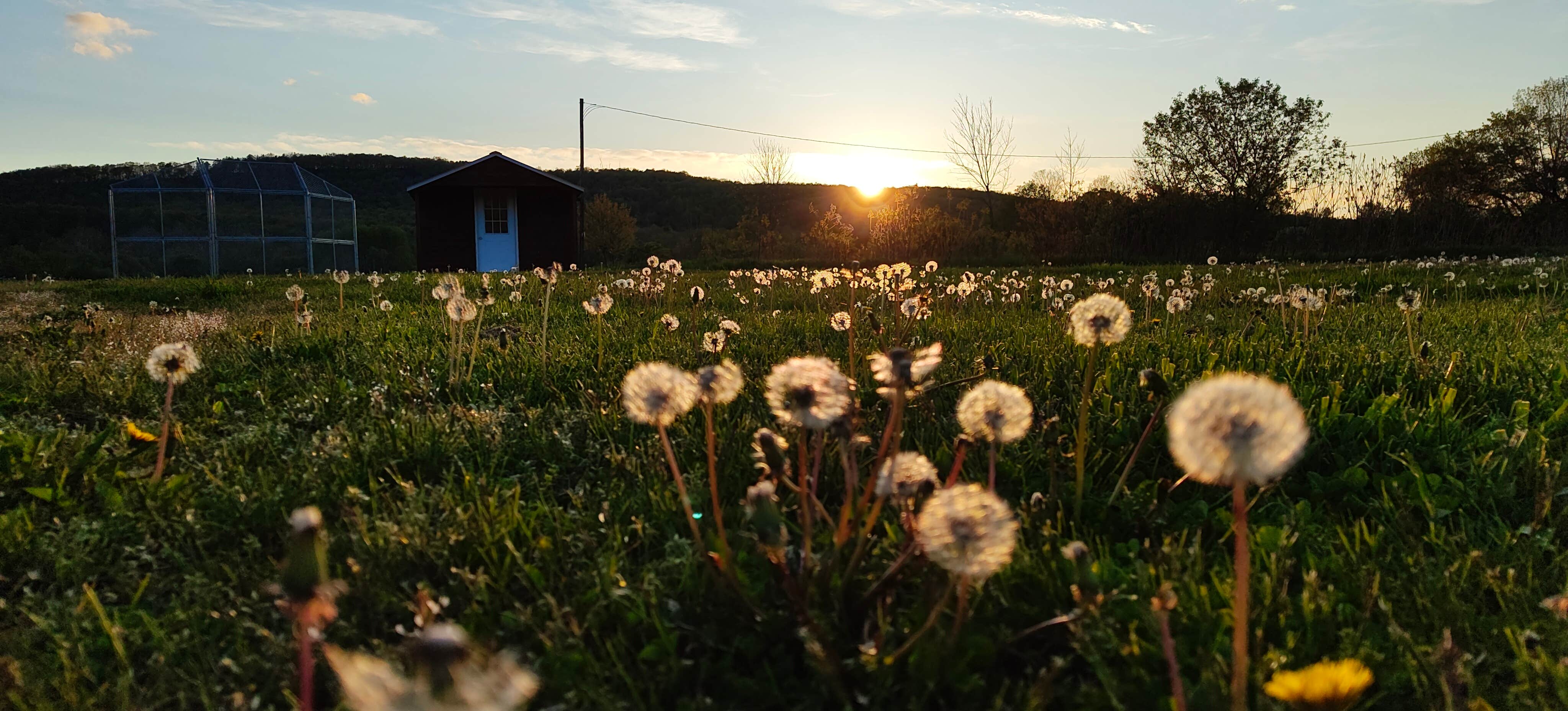 Camper-submitted photo at Trout Run Camp Resort near Alfred, NY
