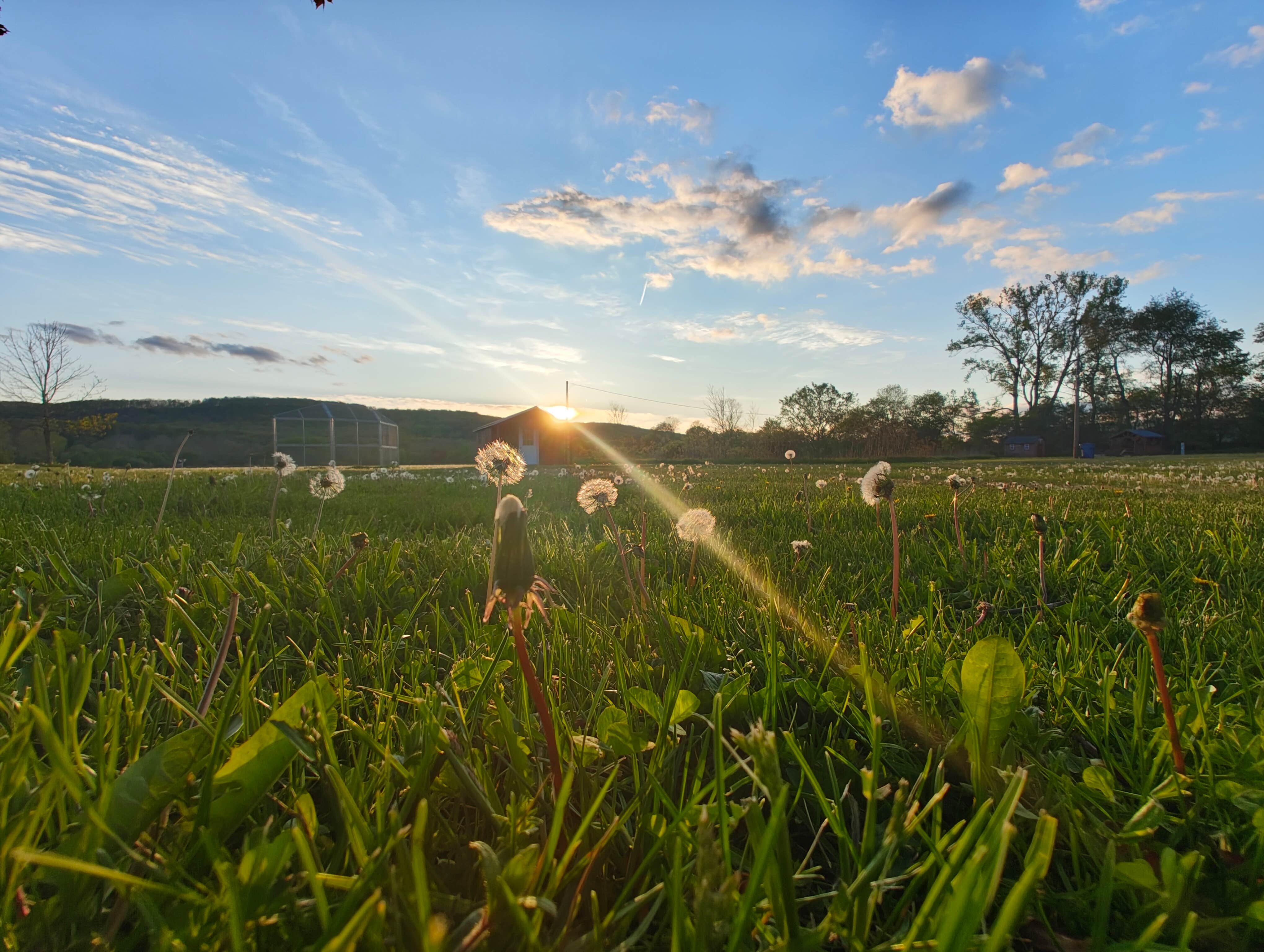 Camper-submitted photo at Trout Run Camp Resort near Alfred, NY