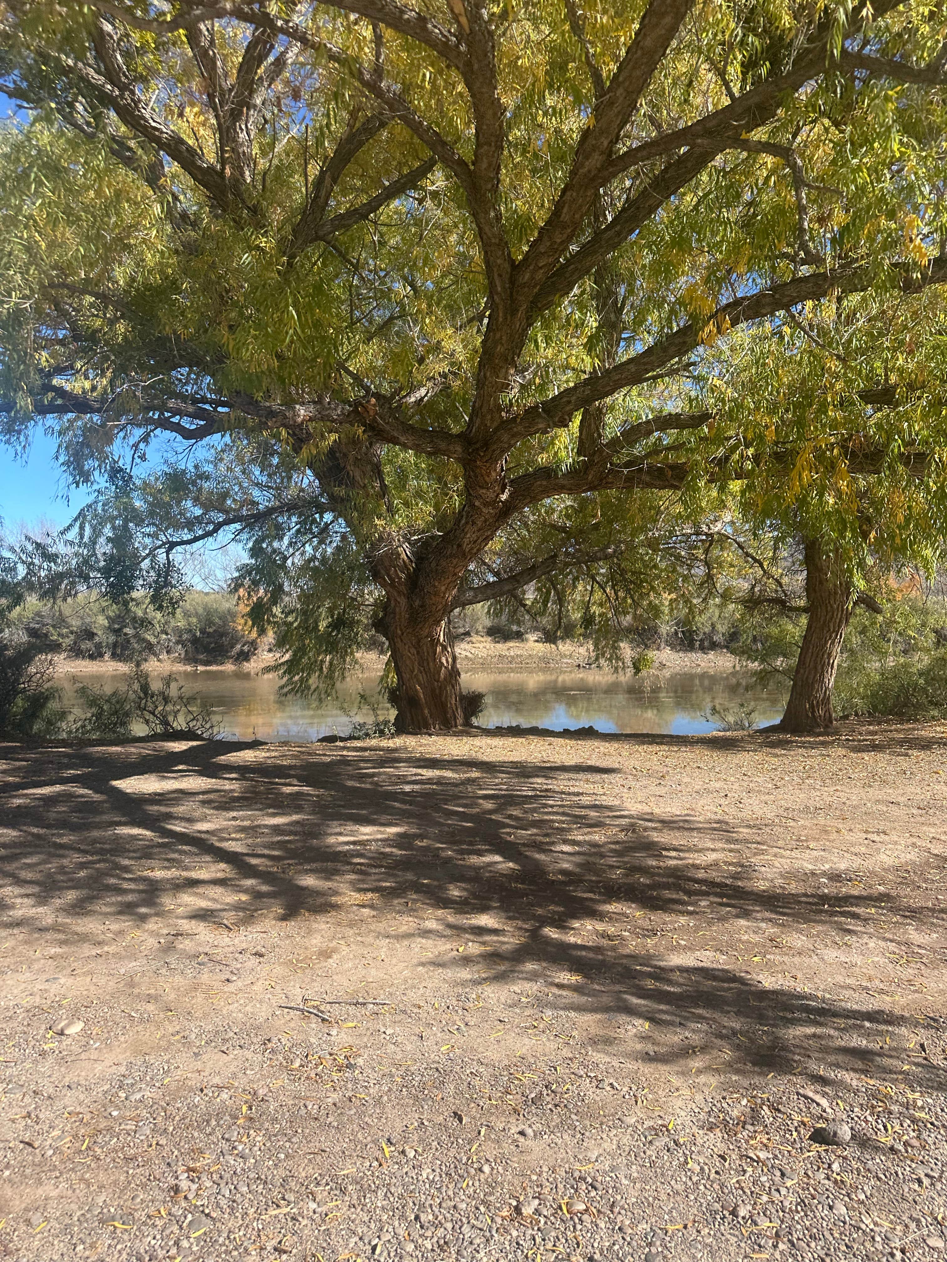Camper-submitted photo at Truth or Consequences Camp on Rio Grande near Caballo, NM