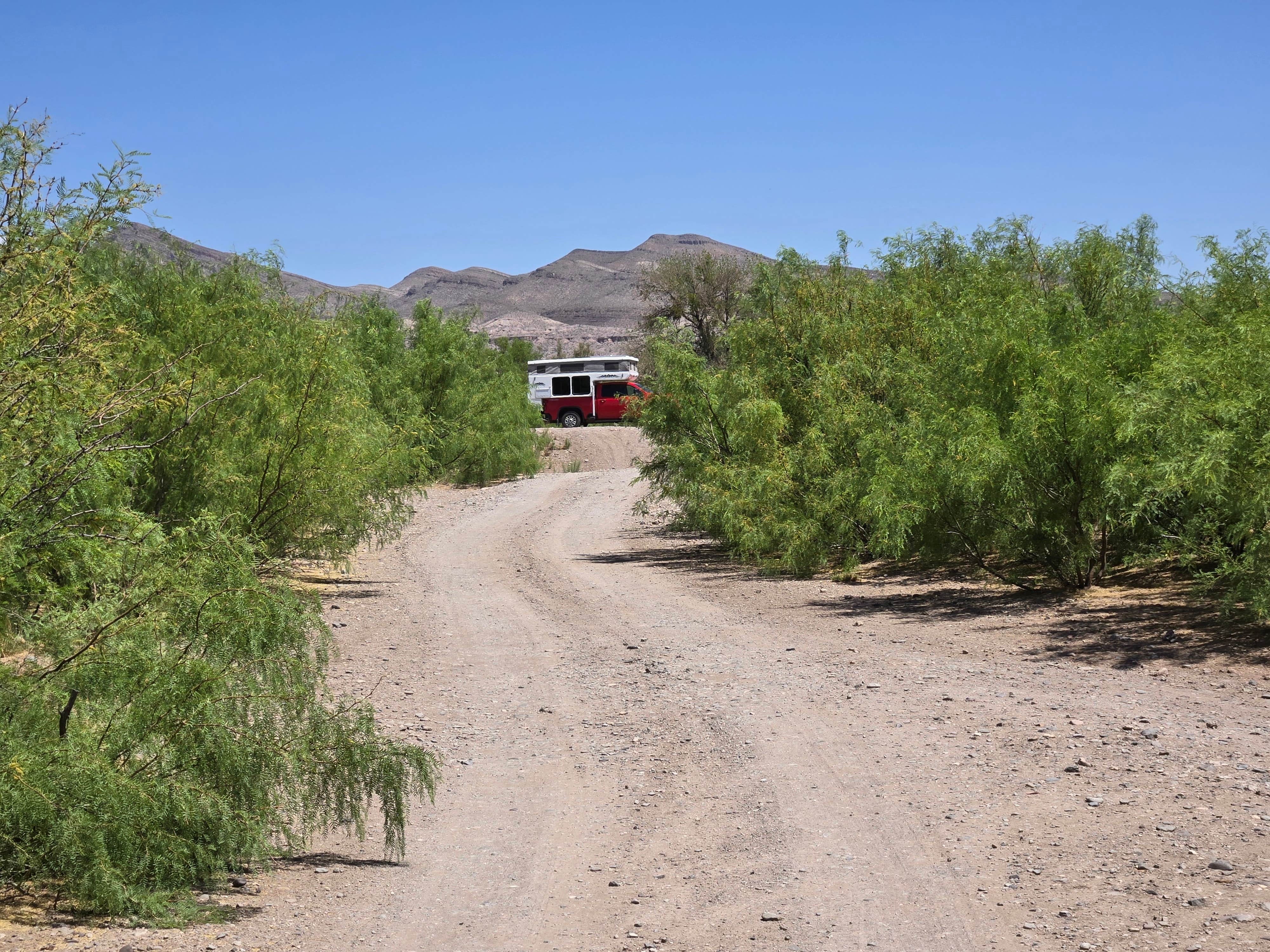Camper submitted image from Truth or Consequences Camp on Rio Grande - 3