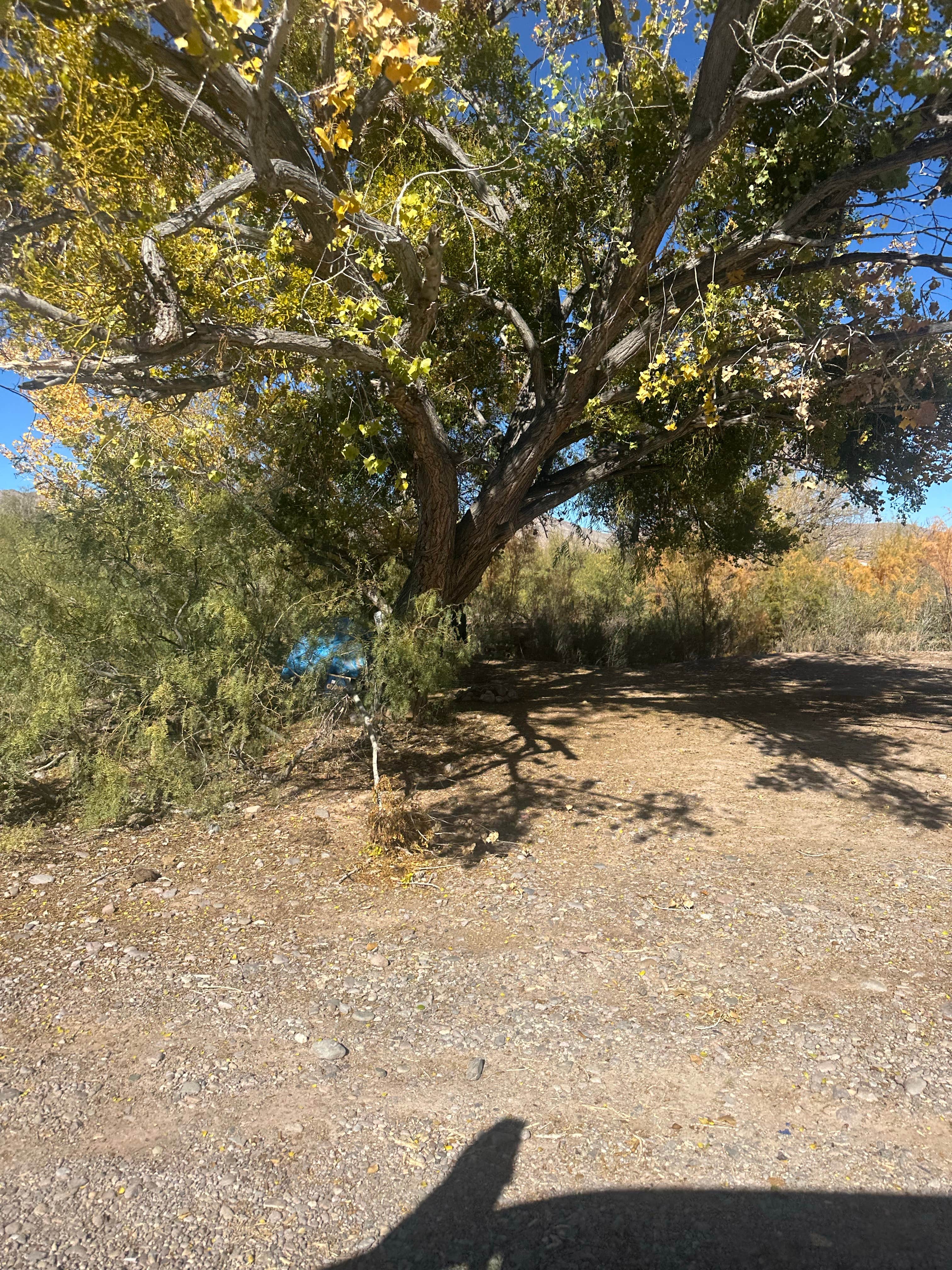 Camper-submitted photo at Truth or Consequences Camp on Rio Grande near Caballo, NM