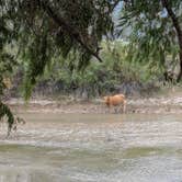 Review photo of Truth or Consequences Camp on Rio Grande by Haley S., October 12, 2025
