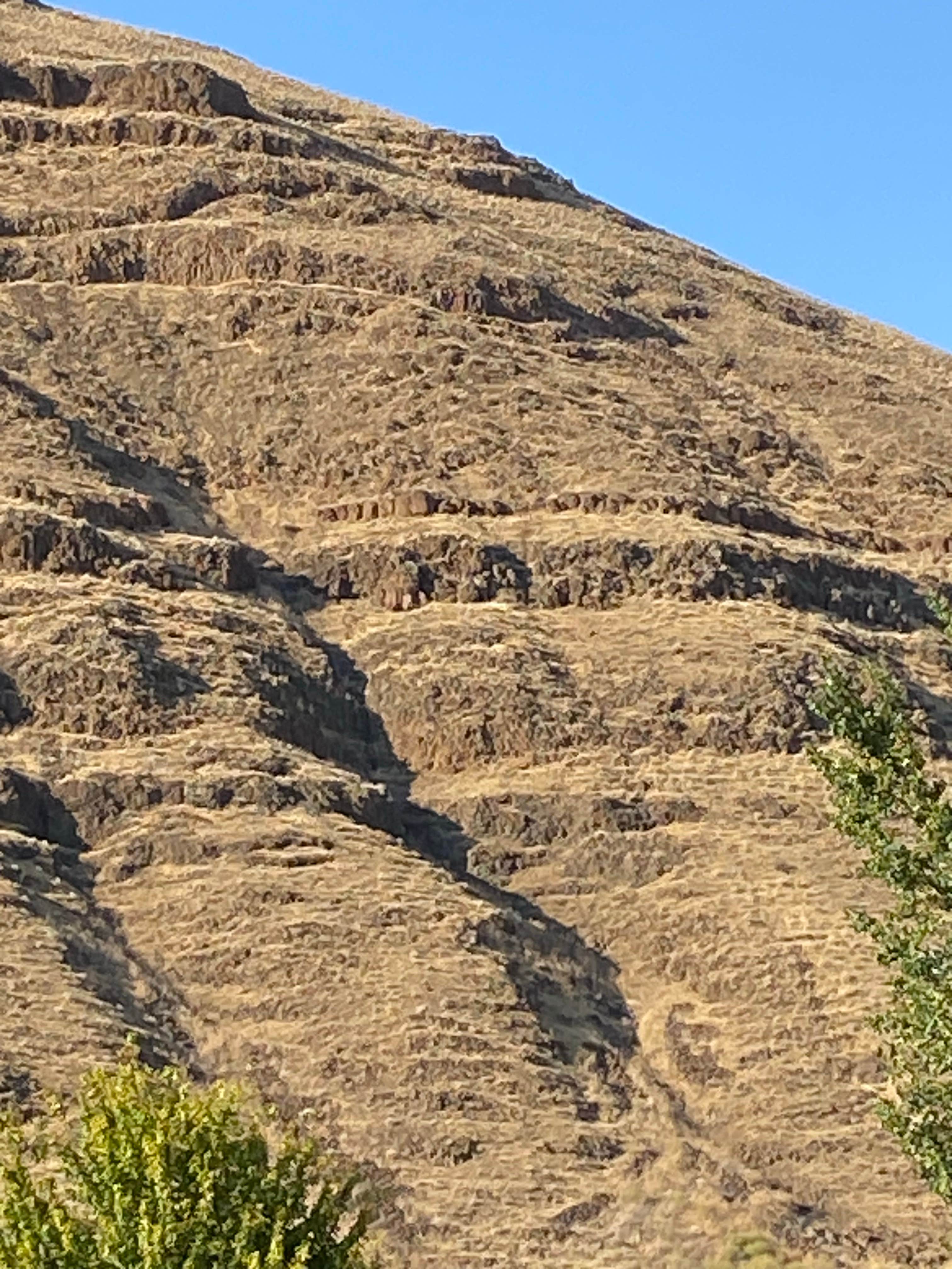 Camper-submitted photo at Tucannon River RV Park near Walla Walla, WA