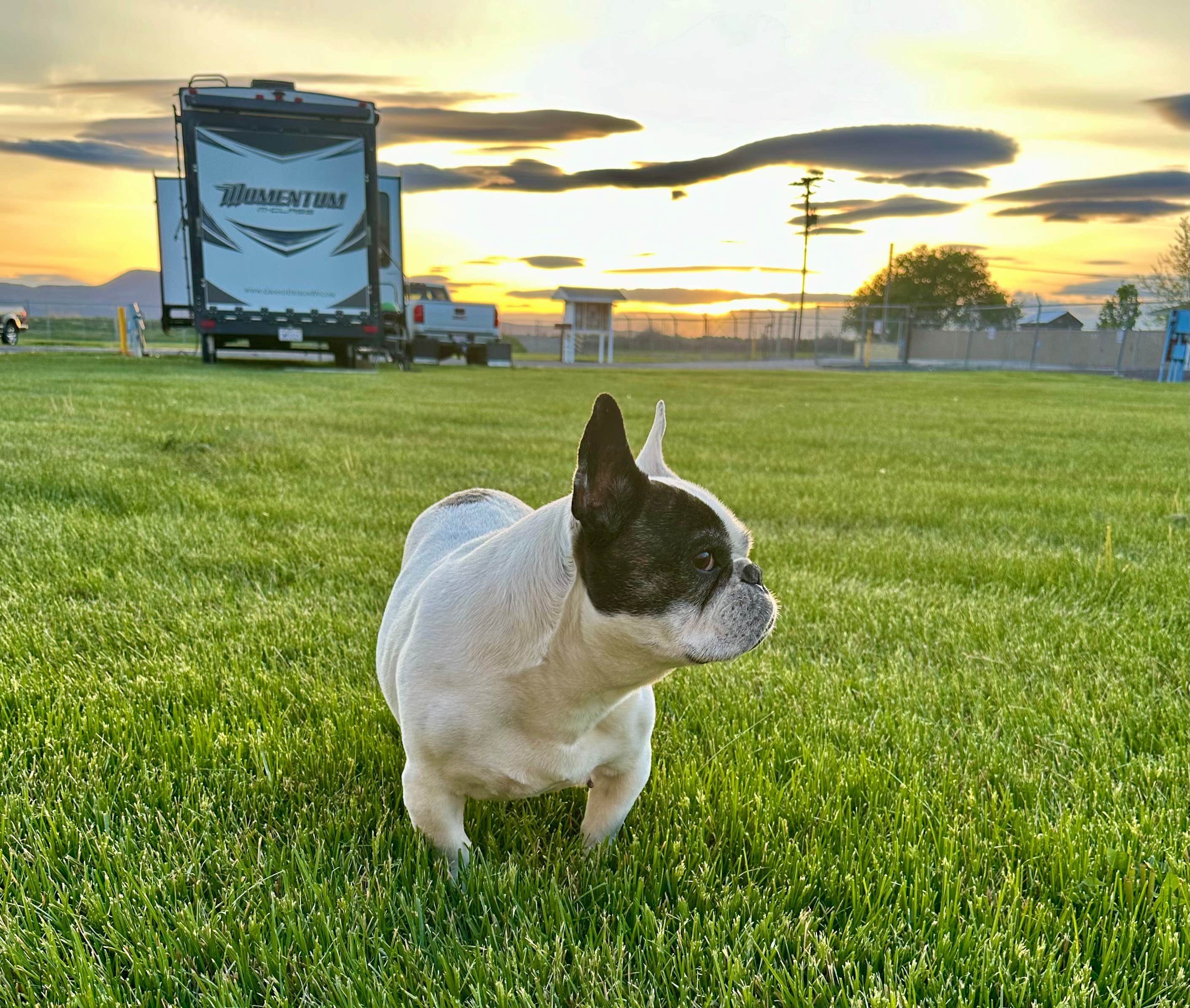 Camper submitted image from Tulelake Butte Valley Fair - 4