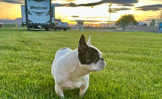 Lynn G.'s photo of camping with pets at Tulelake Butte Valley Fair near Tulelake, CA