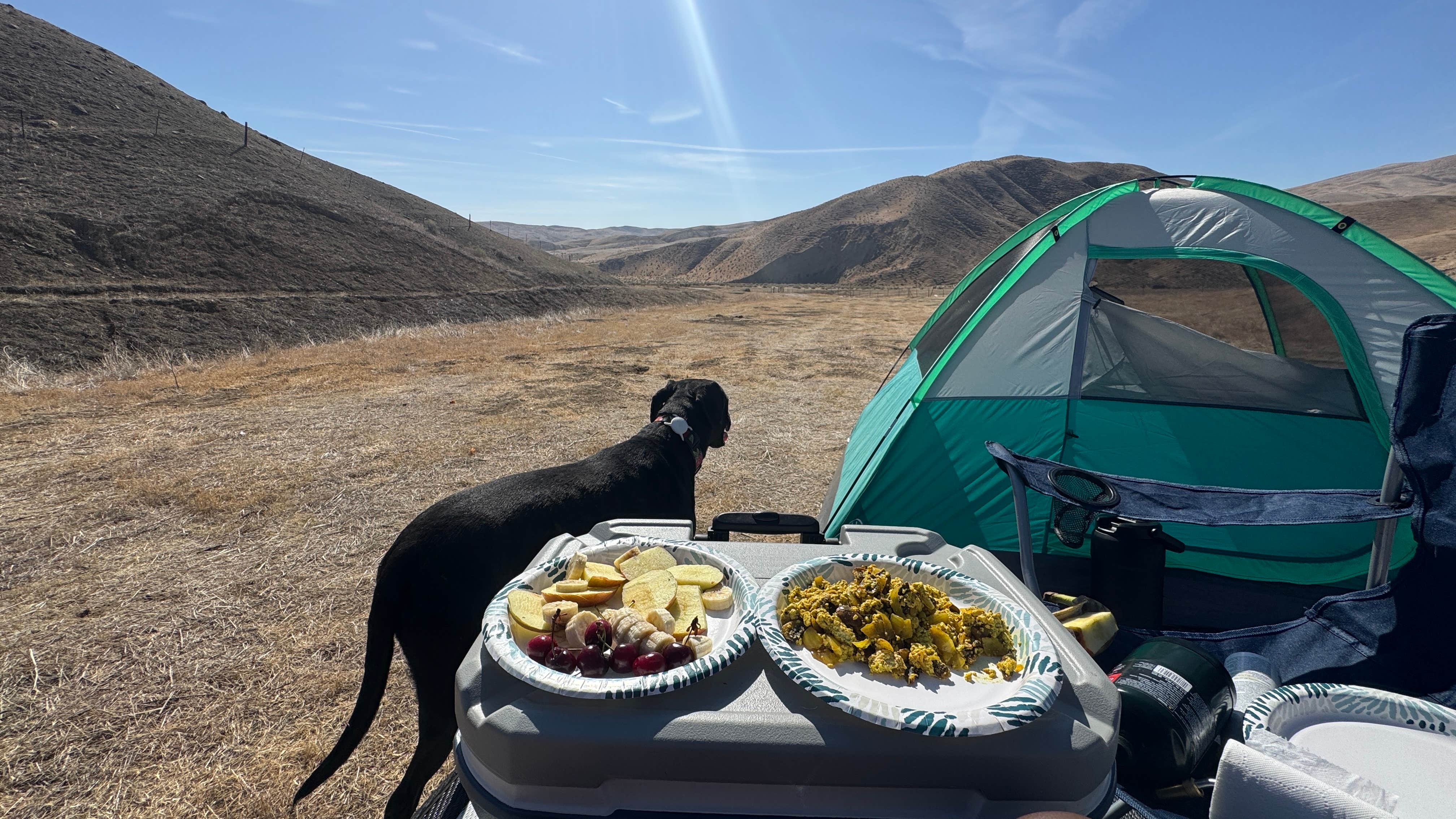 Camper-submitted photo at Tumey Hills Box Canyon near Pinnacles National Park