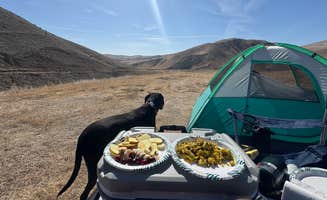 Genesis C.'s photo of camping with pets at Tumey Hills Box Canyon near Coalinga, CA