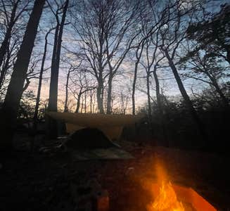Camper-submitted photo from South Campground — Chicot State Park
