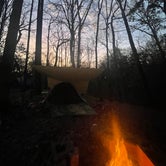 Review photo of Tunica Hills Campground by Taylor T., March 9, 2024
