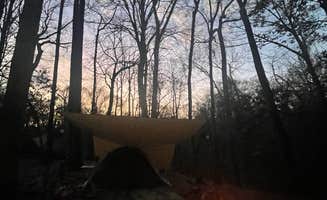 Taylor C.'s photo at Tunica Hills Campground in Louisiana