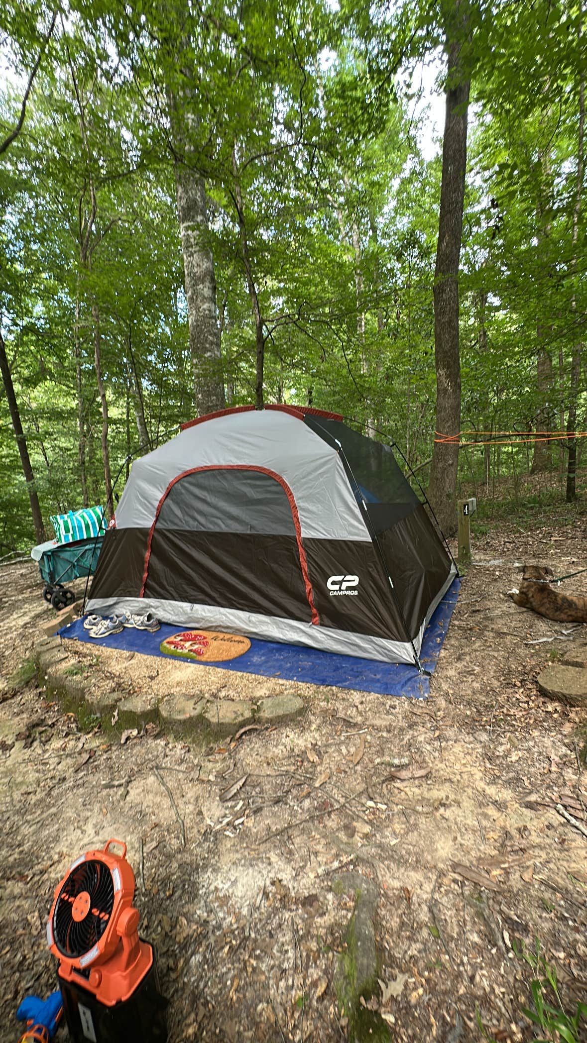 Camper-submitted photo at Tunica Hills Campground near St. Francisville, LA